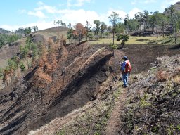 geologists sampling within our tireo project concessions march 2014